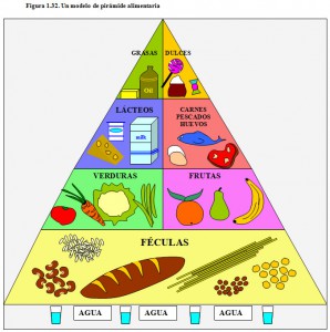 F.1.32. Pirámide alimentaria