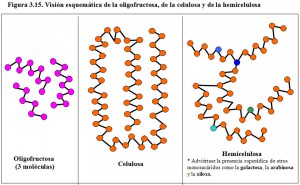 Figura 3.15. Esquemas de oligofructosa, celulosa y hemicelulosa