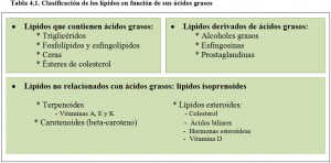 Tabla 4.1. Clasificación lípidos según ácidos grasos