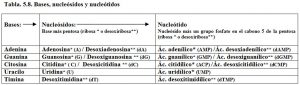 Tabla 5.8. Bases, nucleósidos y nucleótidos
