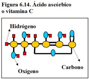 figura-6-14-acido-ascorbico-vitamina-c