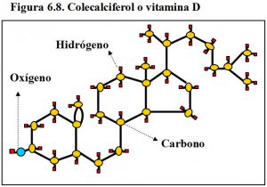 figura-6-8-colecalciferol-vitamina-d